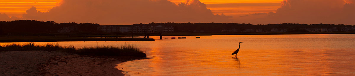 Ocean City Sunset